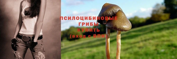 дурь Алексин