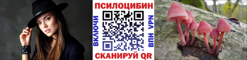 Псилоцибиновые грибы ЛСД Сунжа