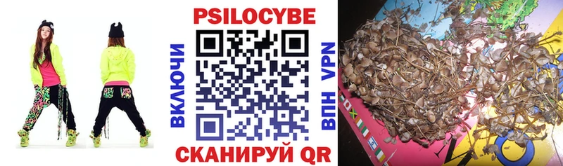 Купить закладки  Сунжа  Галлюциногенные грибы прущие грибы 